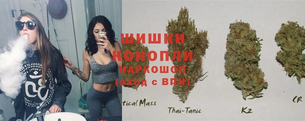 прущие грибы Елабуга
