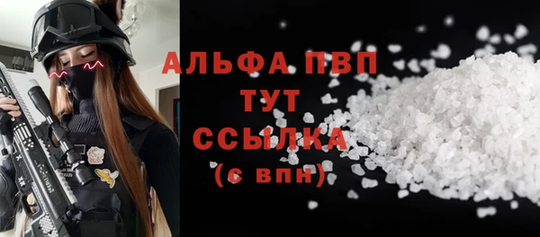 винт Дмитриев
