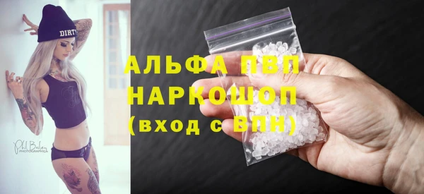 сатива Ельня