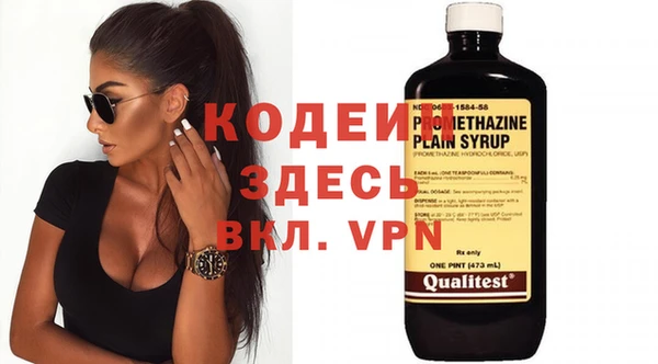 прущие грибы Елабуга