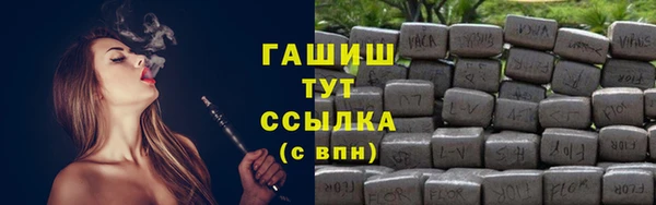 сатива Ельня