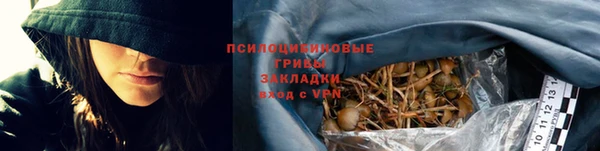 винт Дмитриев