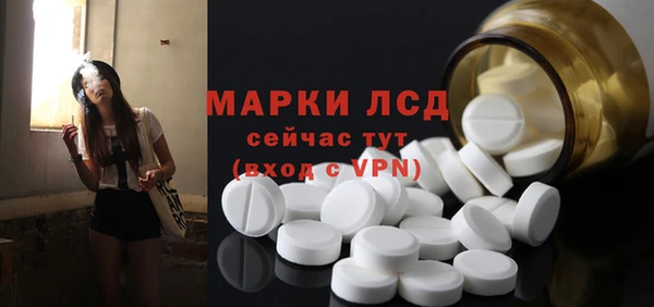 СК Елизово