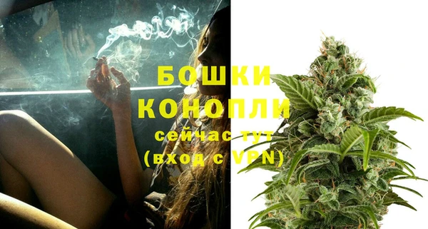 винт Дмитриев