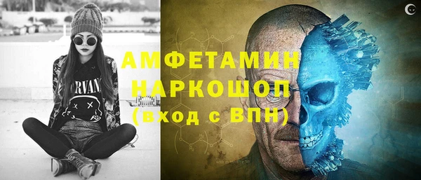 сатива Ельня