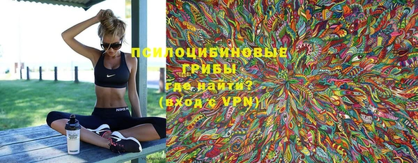 прущие грибы Елабуга