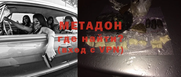 сатива Ельня