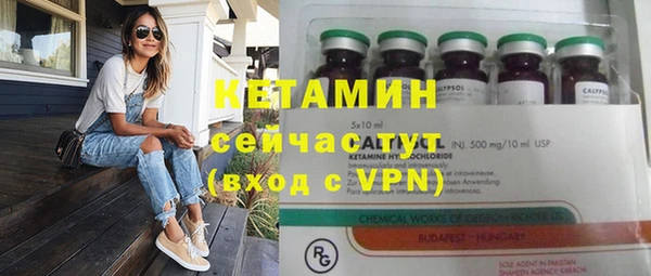 прущие грибы Елабуга